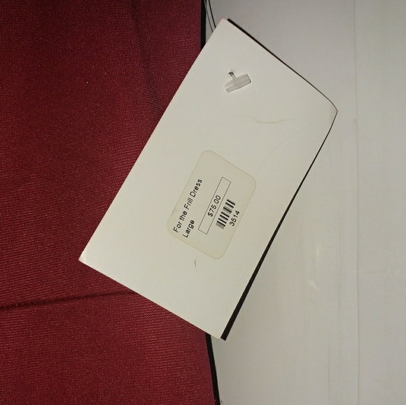 NWT NIKIBIKI Dark Red Dress - Picture 3 of 4